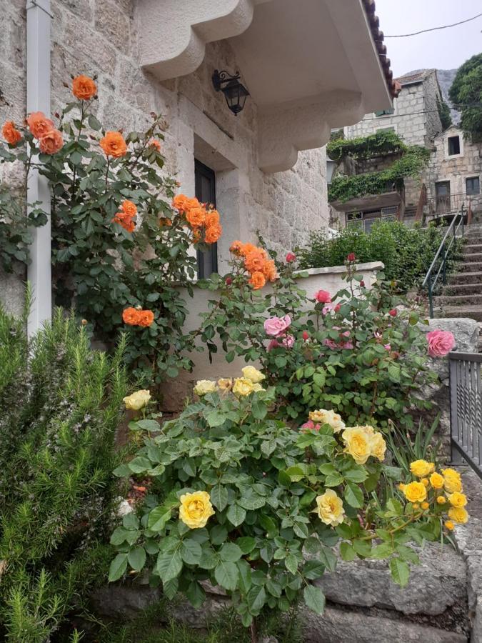 Vila Divna Podgora Exterior photo